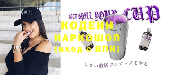 мет Корсаков