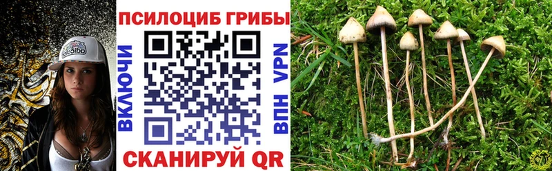 Псилоцибиновые грибы Psilocybine cubensis  Сасово 