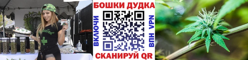 Марихуана план  продажа наркотиков  Сасово 